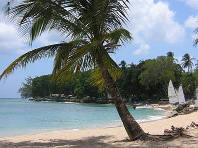 Starfish Discovery Bay Holetown Luaran gambar